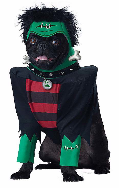 Top Pet Costumes